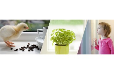 İzmir Plastik Pvc Kapı Ve Pencere Sİstemleri 