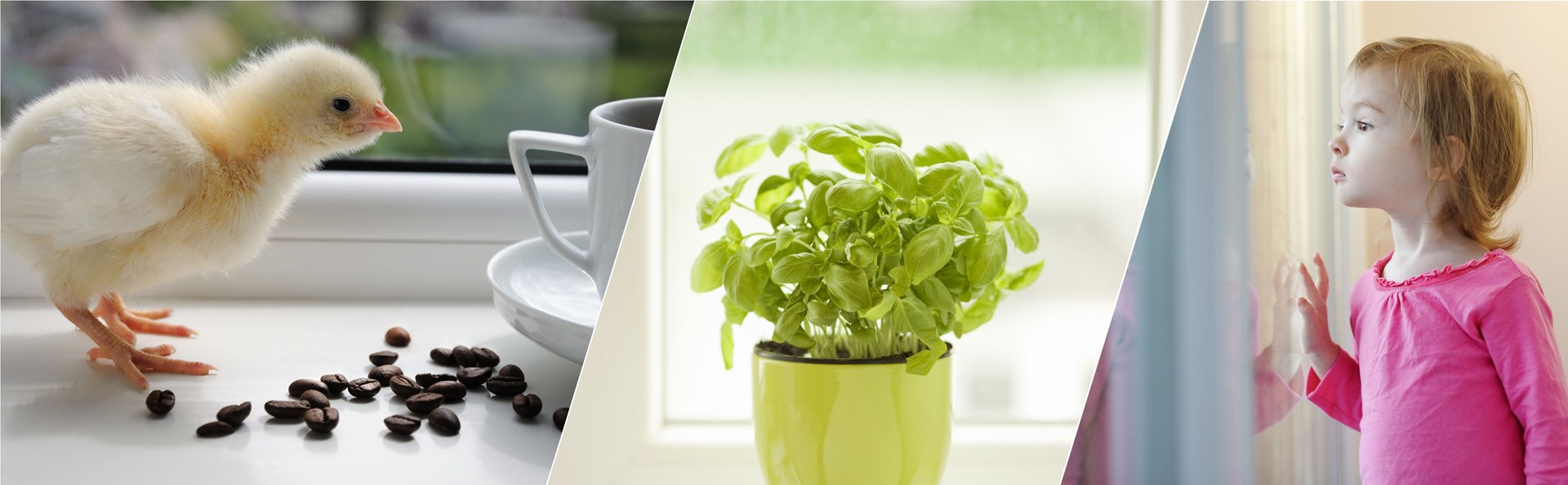 İzmir Plastik Pvc Kapı Ve Pencere Sİstemleri 